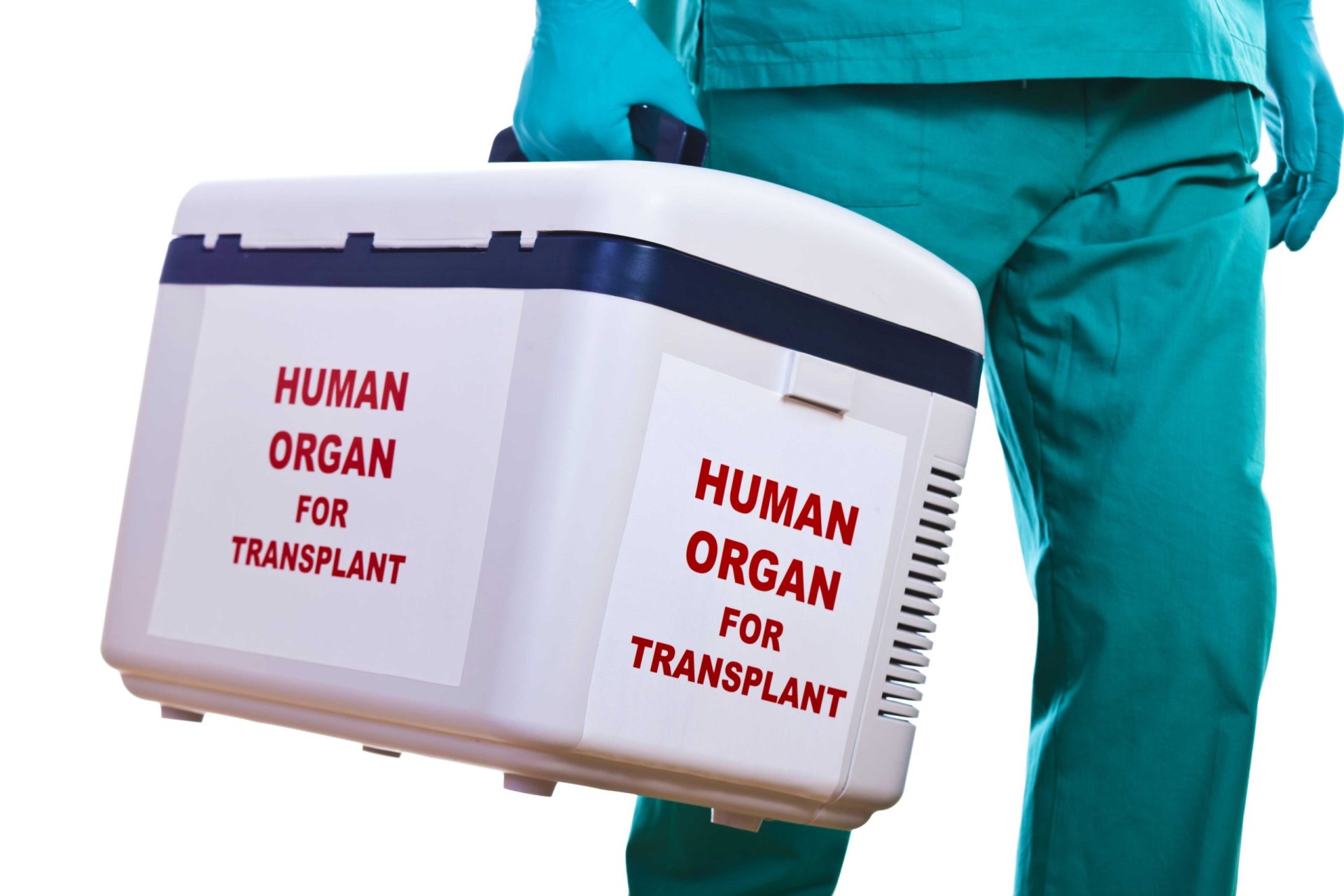 Human Organ Transplantation