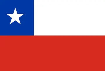 Bandera de Chile - Servicios de Transporte Ambulancia Aérea