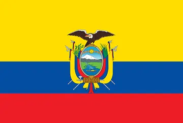 Bandera Ecuatoriana - Servicios de Transporte Ambulancia Aérea