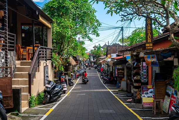 Ambulancia aérea de Air Medical en Indonesia