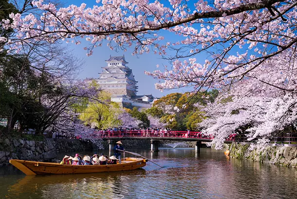 Ambulancia aérea de Air Medical en Japón