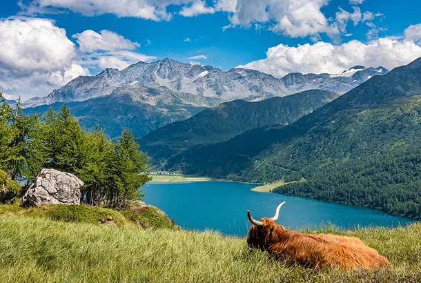 Air Medical's Air Ambulance in Switzerland